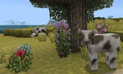 Текстуры для Minecraft PE скачать